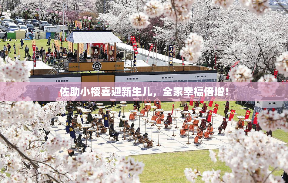 佐助小樱喜迎新生儿，全家幸福倍增！