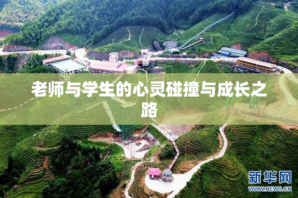 老师与学生的心灵碰撞与成长之路