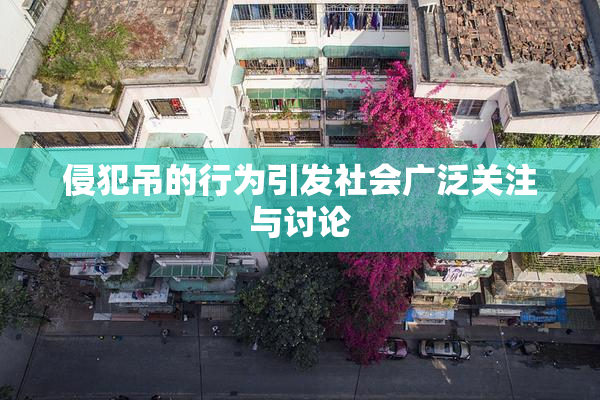 侵犯吊的行为引发社会广泛关注与讨论