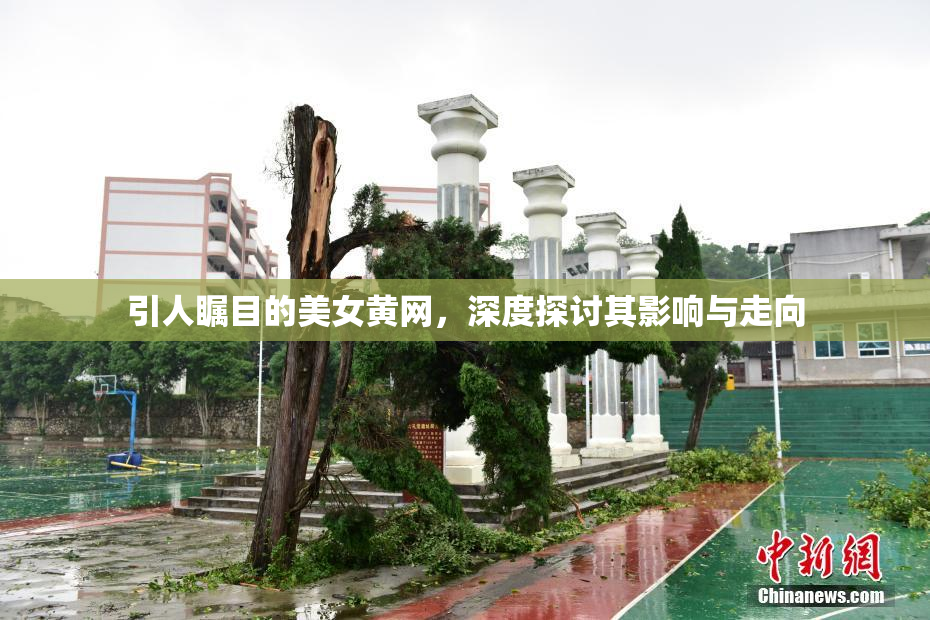 引人瞩目的美女黄网，深度探讨其影响与走向
