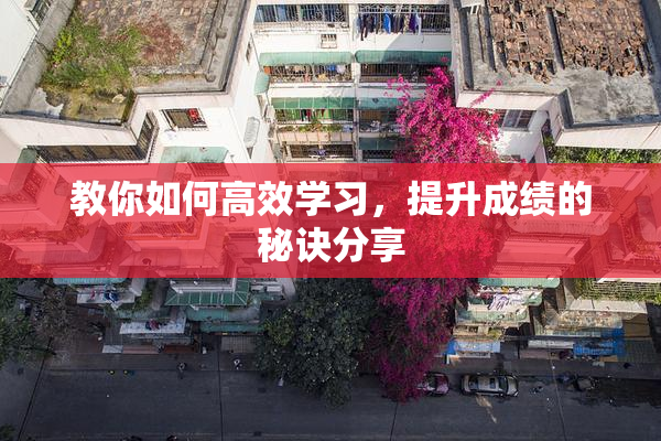 教你如何高效学习，提升成绩的秘诀分享