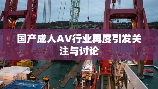 国产成人AV行业再度引发关注与讨论