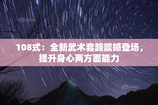 108式：全新武术套路震撼登场，提升身心两方面能力