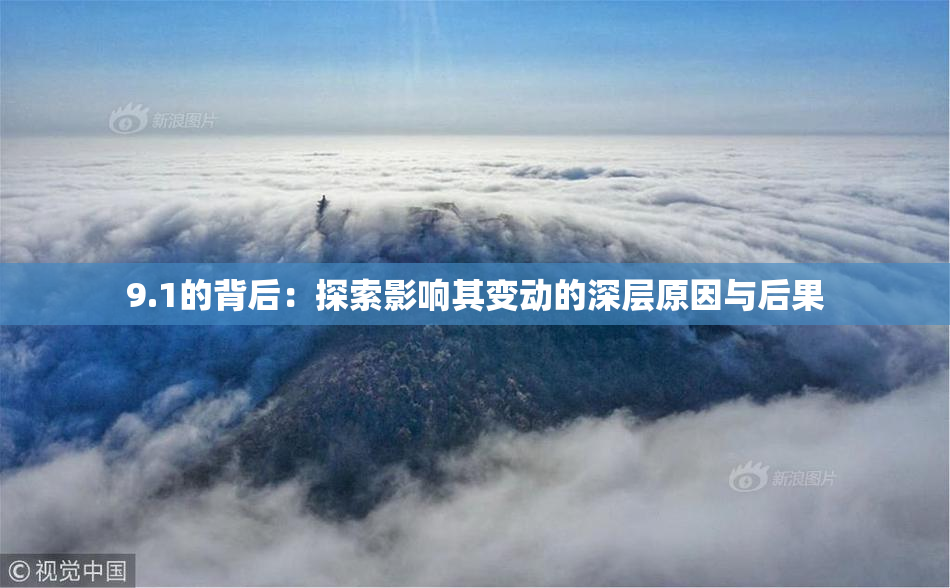 9.1的背后：探索影响其变动的深层原因与后果