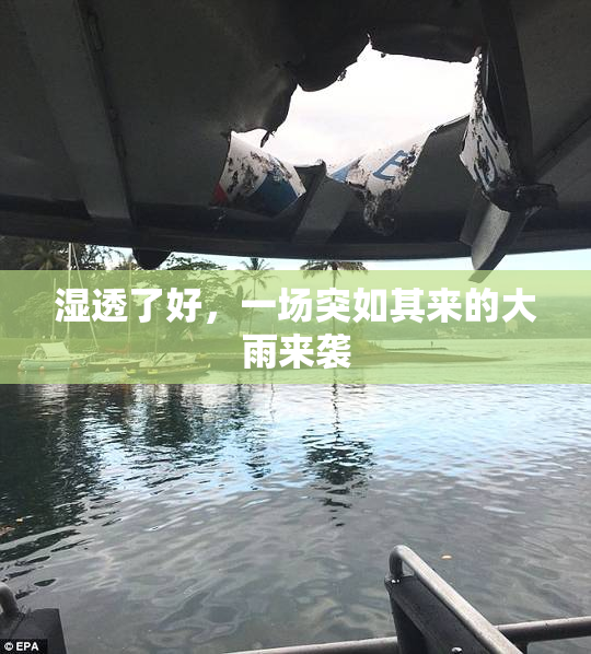 湿透了好，一场突如其来的大雨来袭