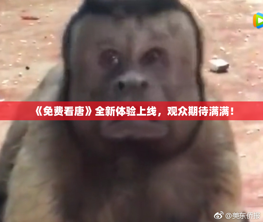 《免费看唐》全新体验上线，观众期待满满！