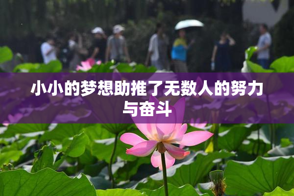 小小的梦想助推了无数人的努力与奋斗