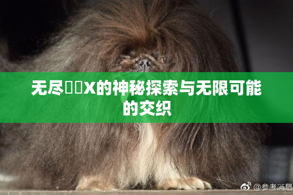 无尽❌‌X的神秘探索与无限可能的交织