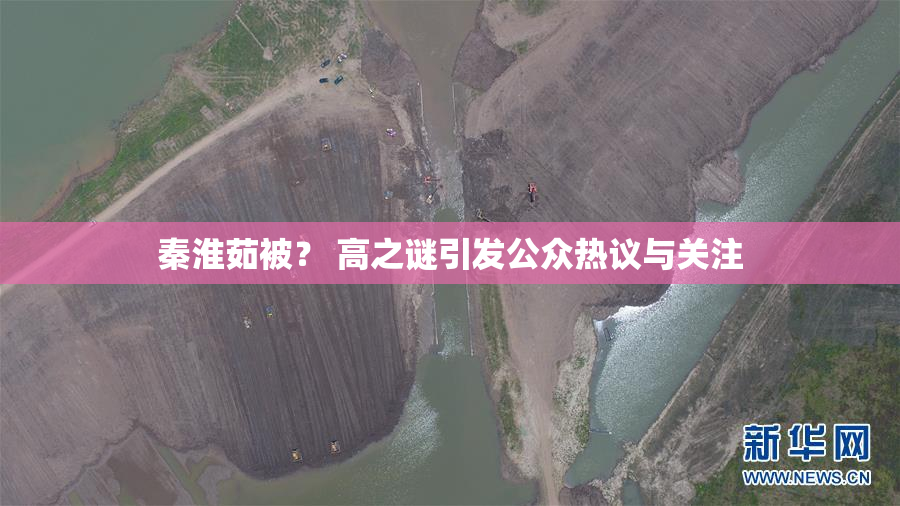 秦淮茹被？ 高之谜引发公众热议与关注