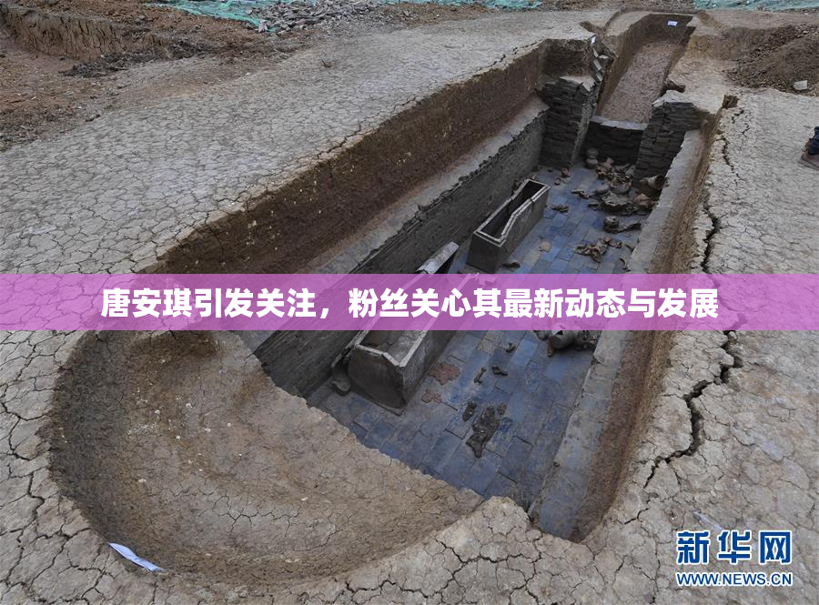 唐安琪引发关注，粉丝关心其最新动态与发展