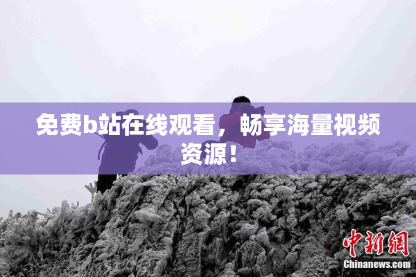 免费b站在线观看，畅享海量视频资源！