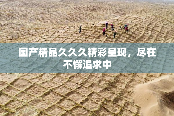 国产精品久久久精彩呈现，尽在不懈追求中