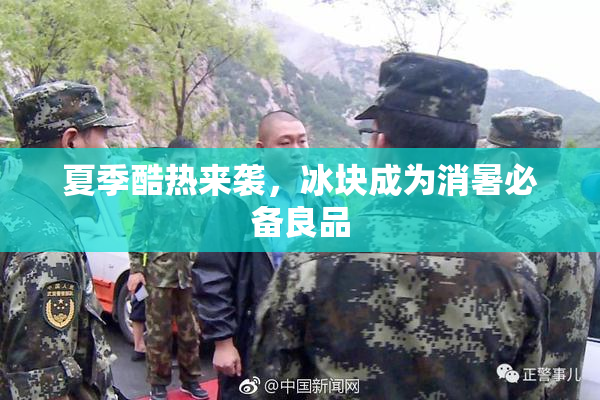 夏季酷热来袭，冰块成为消暑必备良品