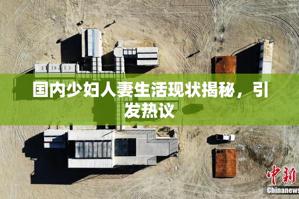 国内少妇人妻生活现状揭秘，引发热议