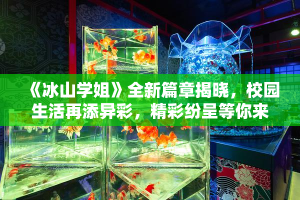 《冰山学姐》全新篇章揭晓，校园生活再添异彩，精彩纷呈等你来探！