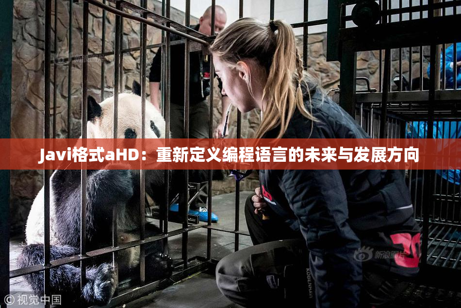 Javi格式aHD：重新定义编程语言的未来与发展方向