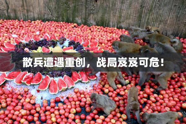 散兵遭遇重创，战局岌岌可危！