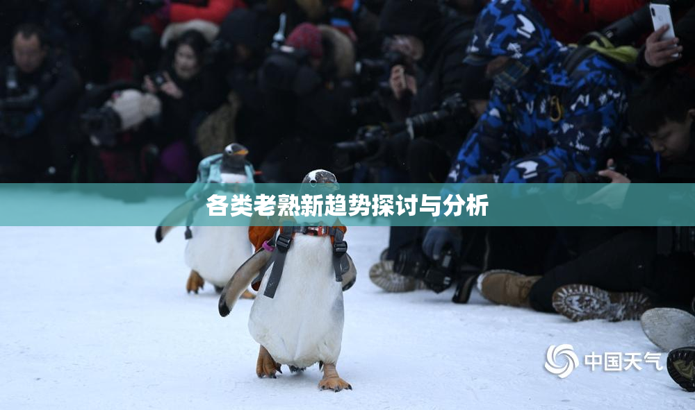 各类老熟新趋势探讨与分析