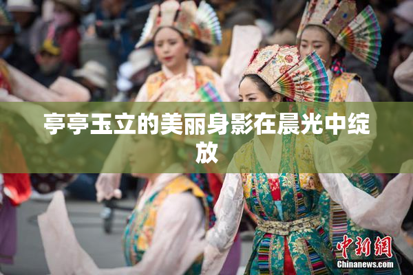 亭亭玉立的美丽身影在晨光中绽放