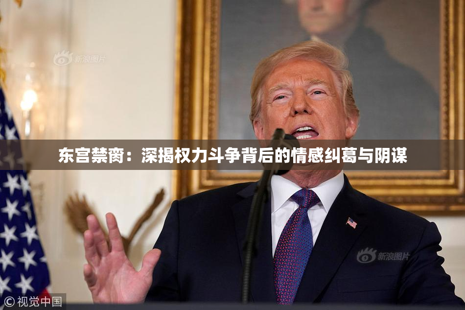 东宫禁脔：深揭权力斗争背后的情感纠葛与阴谋