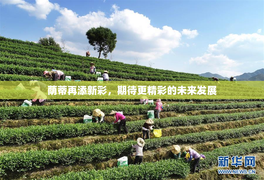 荫蒂再添新彩，期待更精彩的未来发展