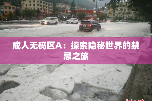 成人无码区A：探索隐秘世界的禁忌之旅