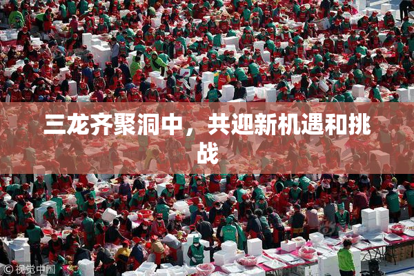 三龙齐聚洞中，共迎新机遇和挑战