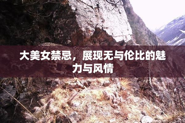 大美女禁忌，展现无与伦比的魅力与风情