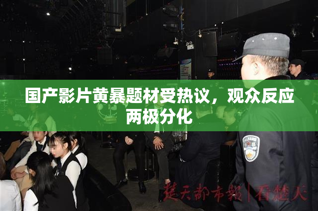 国产影片黄暴题材受热议，观众反应两极分化