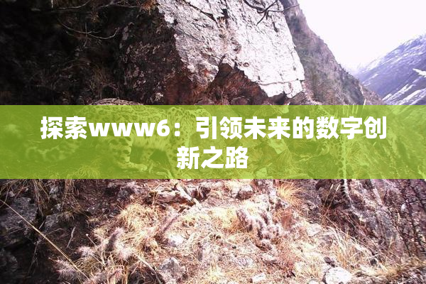 探索www6：引领未来的数字创新之路