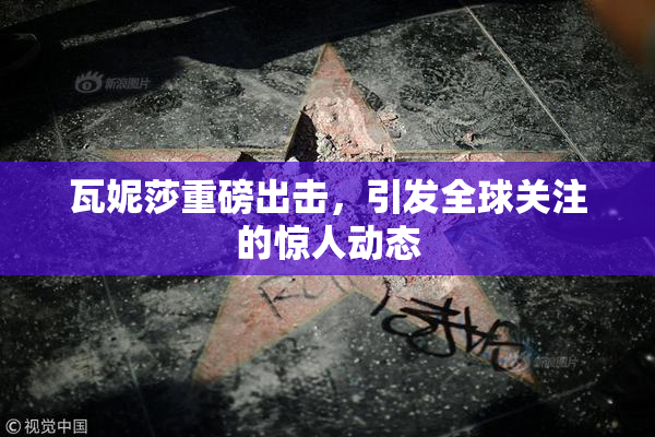 瓦妮莎重磅出击，引发全球关注的惊人动态