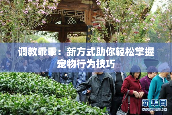 调教乖乖：新方式助你轻松掌握宠物行为技巧