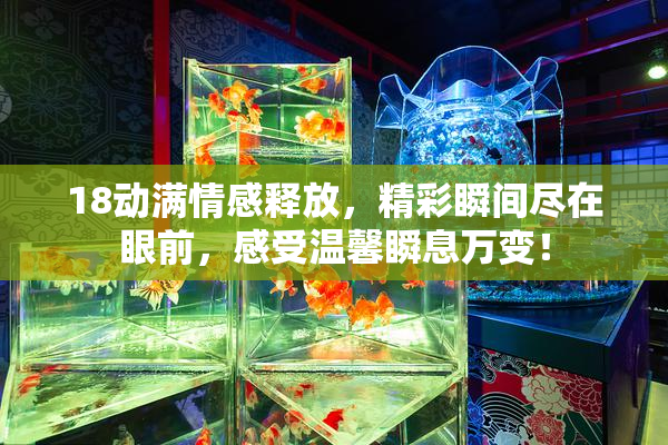 18动满情感释放，精彩瞬间尽在眼前，感受温馨瞬息万变！
