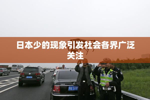 日本少的现象引发社会各界广泛关注