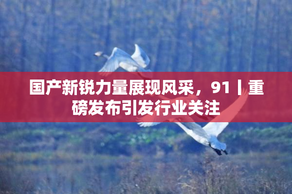 国产新锐力量展现风采，91丨重磅发布引发行业关注