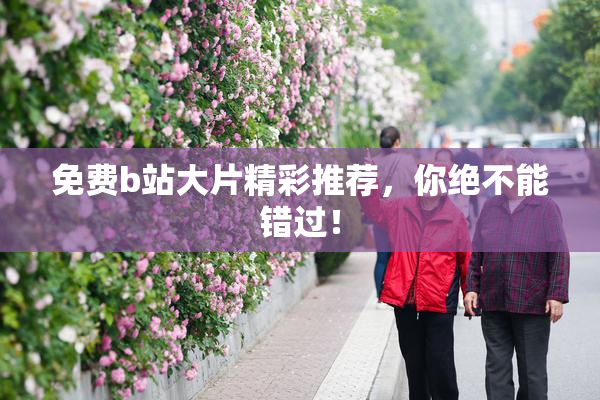 免费b站大片精彩推荐，你绝不能错过！