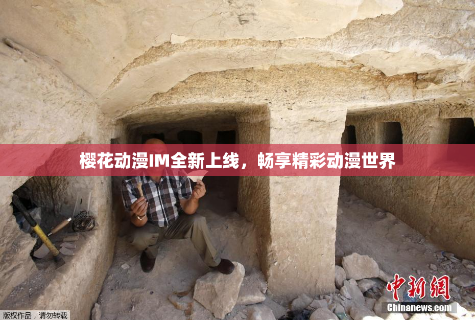 樱花动漫IM全新上线，畅享精彩动漫世界