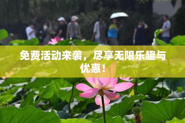 免费活动来袭，尽享无限乐趣与优惠！