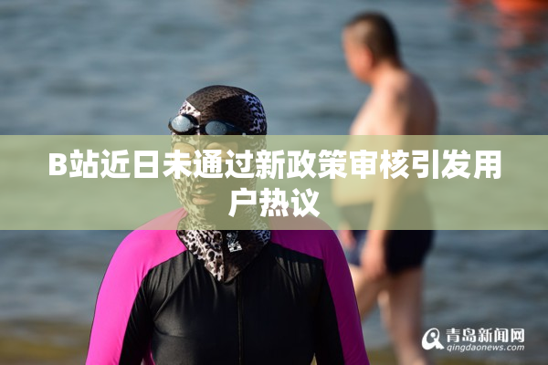 B站近日未通过新政策审核引发用户热议