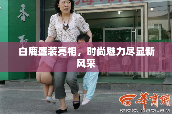 白鹿盛装亮相，时尚魅力尽显新风采