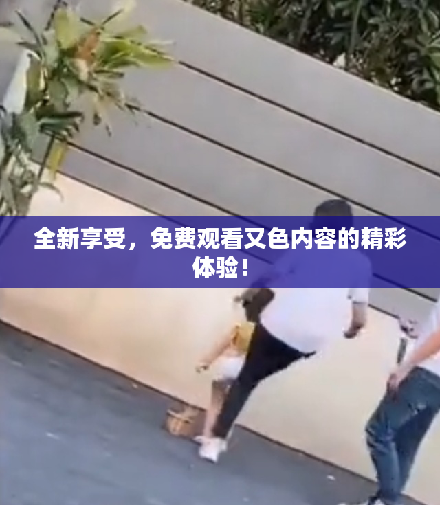 全新享受，免费观看又色内容的精彩体验！