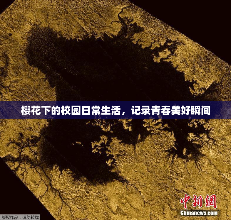 樱花下的校园日常生活，记录青春美好瞬间