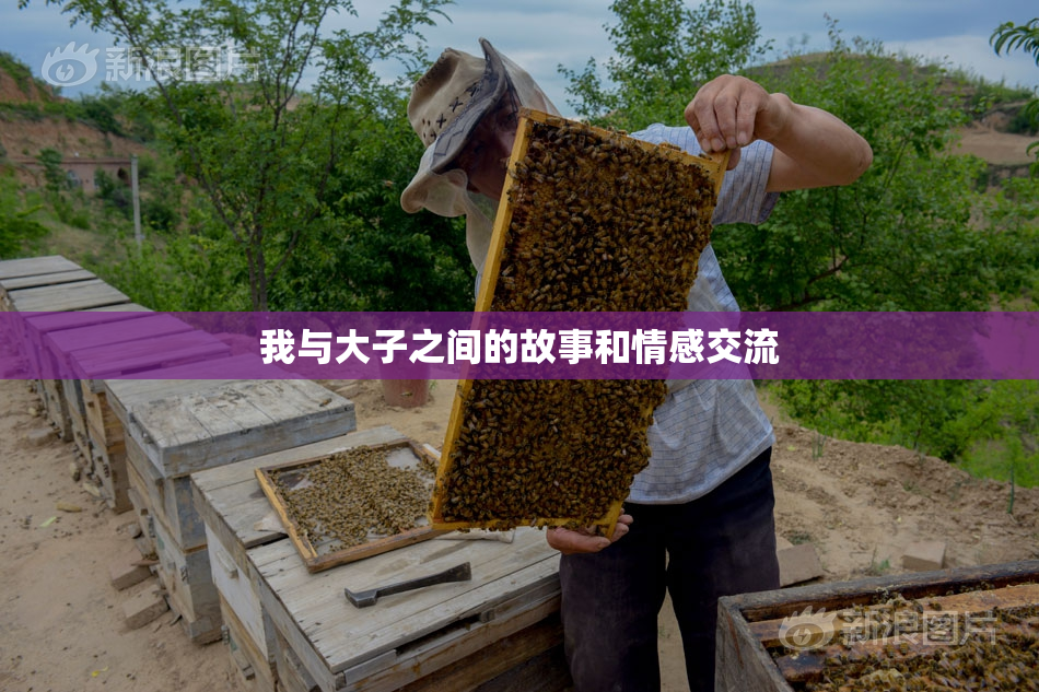 我与大子之间的故事和情感交流