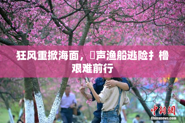 狂风重掀海面，喿声渔船逃险扌橹艰难前行