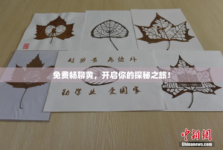 免费畅聊黄，开启你的探秘之旅！