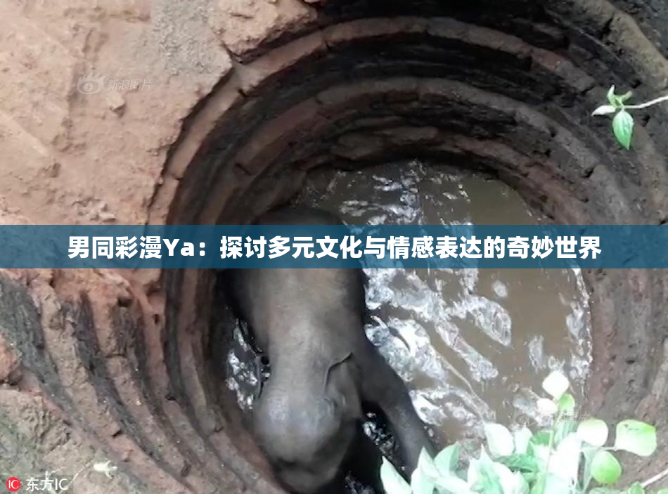男同彩漫Ya：探讨多元文化与情感表达的奇妙世界