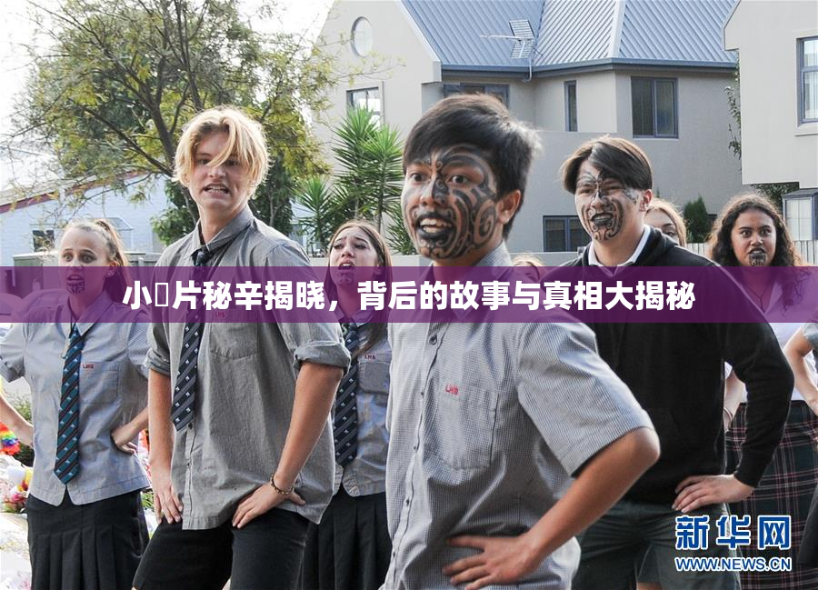 小黃片秘辛揭晓，背后的故事与真相大揭秘