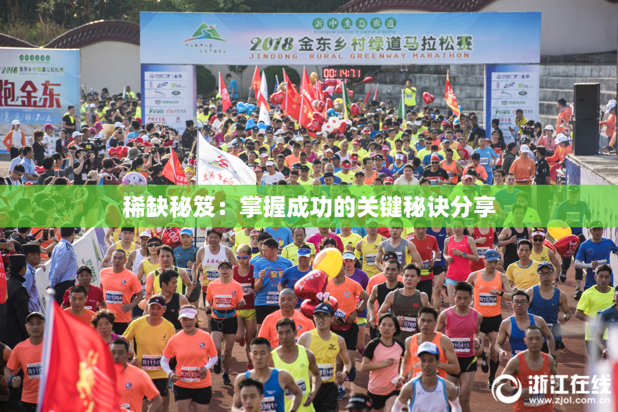 稀缺秘笈：掌握成功的关键秘诀分享
