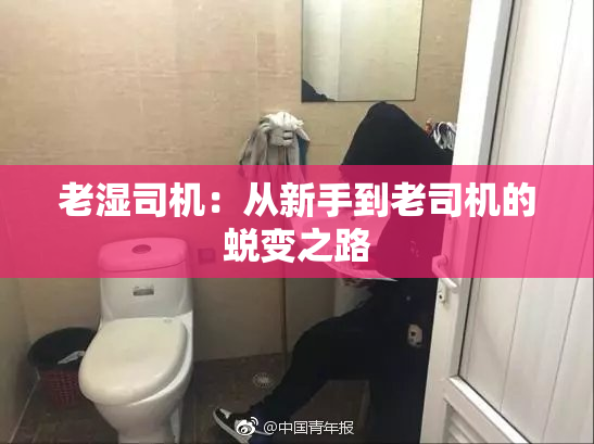 老湿司机：从新手到老司机的蜕变之路