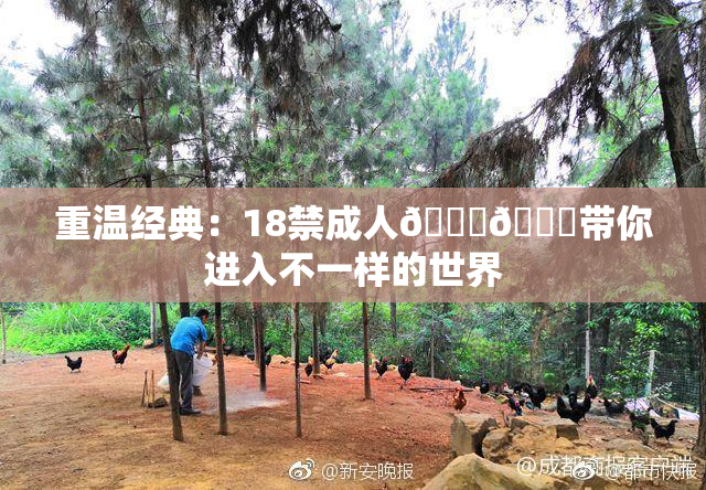 重温经典：18禁成人🍆🍑带你进入不一样的世界